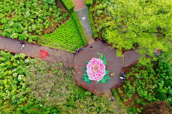 豫見高端，洛賞牡丹，錯(cuò)過等一年