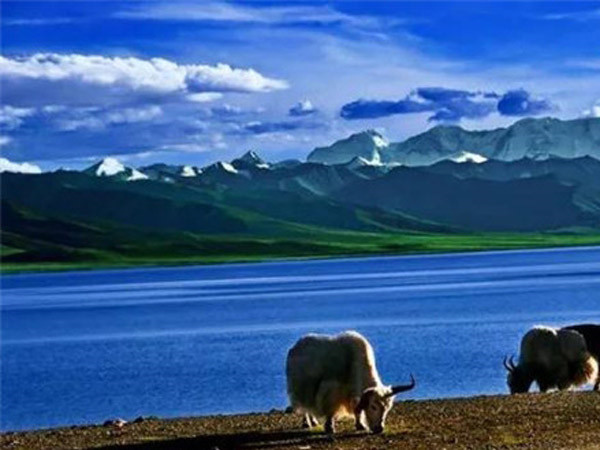 公司成功舉辦“慶元旦、迎新春”長跑比賽