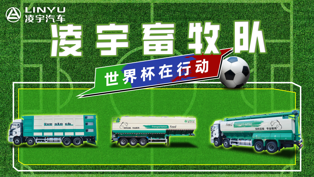 奪冠世界杯！你注意到這支球隊(duì)了嗎？